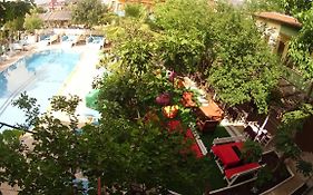 New St. Nicholas Garden Hotel